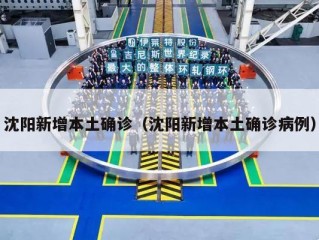 沈阳新增本土确诊（沈阳新增本土确诊病例）
